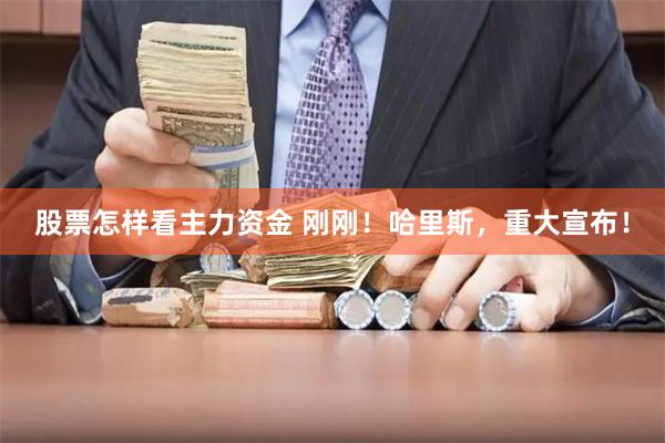 股票怎样看主力资金 刚刚！哈里斯，重大宣布！